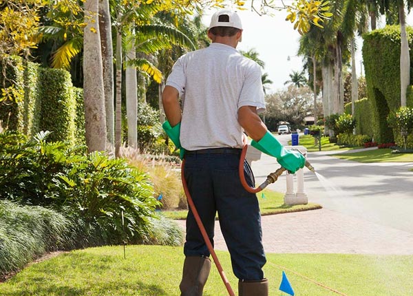 About Fair Haven NY Pest Control